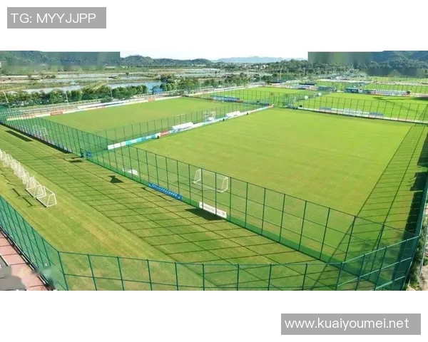 探索全球最好的足球场:从设计理念到球迷体验的完美结合